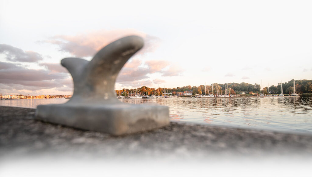 Career perspective in Rostock for Sustainable Maritime Engineering graduates