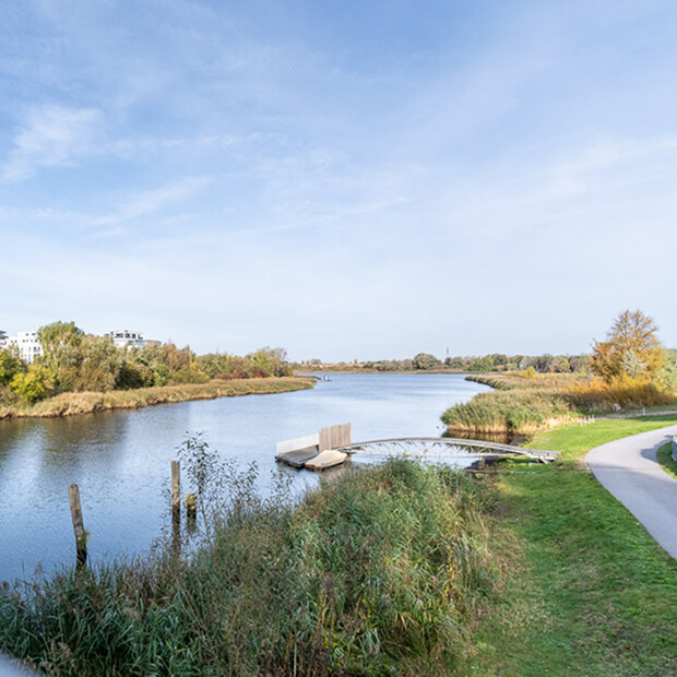 Green water paths along the Warnow river in Rostock
